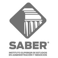 Instituto Saber Logo
