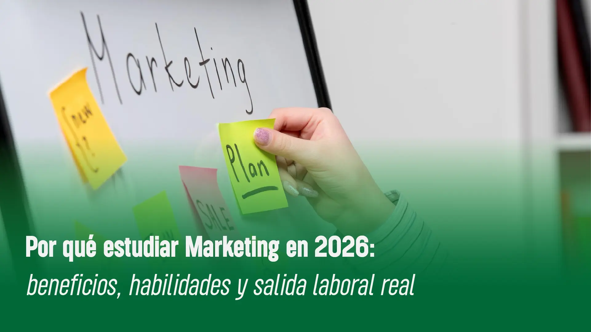 Por qué estudiar Marketing