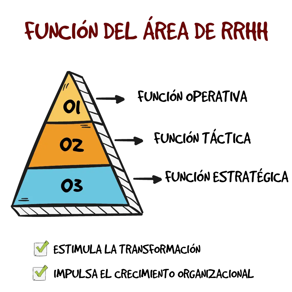 Funciones del área de Recursos Humanos
